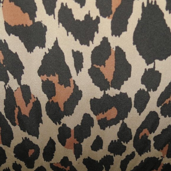 BOOHOO PLUS - JESS LEOPARD PRINT DRESS - SIZE 22 - NWT - Picture 5 of 5
